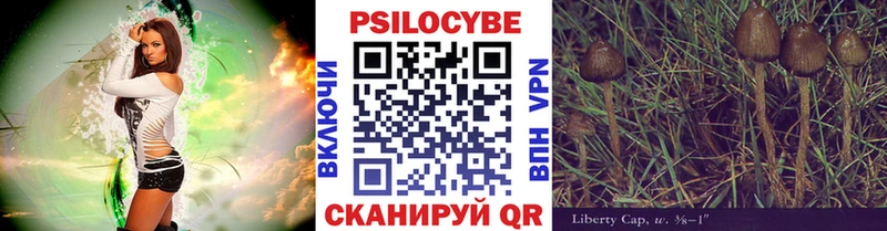 гидра ссылка  Инза  Галлюциногенные грибы мицелий 